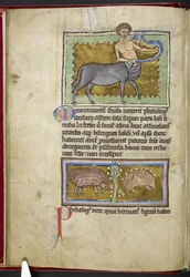 Royal MS 12 C XIX, f.8v Centaur, från 