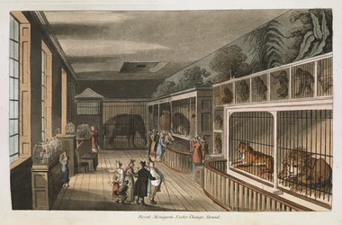 Royal menagerie, Exeter (Change Exchange), Strand. Utvalda vyer av London: med historiska och beskrivande skisser av några av de mest intressanta av de offentliga byggnaderna / sammanställd och arrangerad av J.B. Papworth. John Buonarotti PapworthLondon