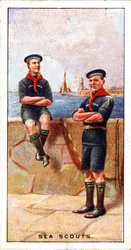 Sjöscouter, 1929