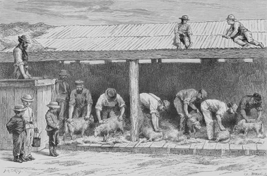 Sheep Shearing, c.1880, från 