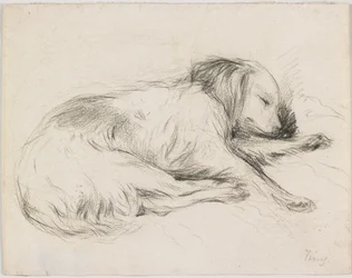 Sleeping Dog, ca 1840 (grafit på papper)