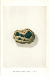 Sydamerikansk smaragd i matris, från Edwin Streeters "Precious Stones and Gems", London, George Bell & Sons