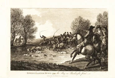 Shjortsjägare och hundar som jagar en kalvhjort i Epping Easter Hunt