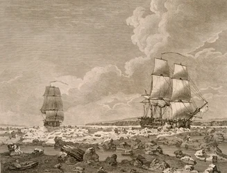 Tävlingshästen och kadaveret tvingade genom isen, 10 augusti 1773, från A Voyage Toward the North Pole Undertaken by His Majestys Command 1773, publicerad London 1774