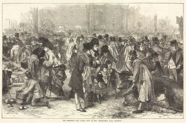 Smithfield Club Cattle Show på Agricultural Hall, Islington