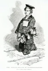Gatusäljaren av muskotrivjärn, ca 1840
