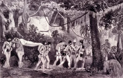 Båren