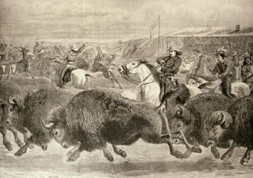 "The Wild West" på den stora amerikanska utställningen: Hunting Bison and Wapiti Deer, från "The Illustrated London News", 18 juni 1887