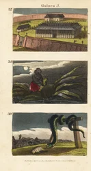 Palatset för kungen av Dahomey på Abomey 37, en afrikansk man som döljer en fetisch 38 och människor i Whydah som dyrkar en enorm orm 39
