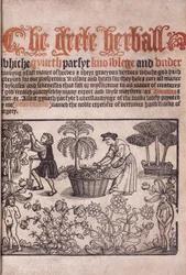 Titelsida som illustrerar en trädgårdsscen med figurer, 1529