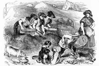 Vy över en dammgård, illustration från "London Labor and the London Poor" av Henry Mayhew, ca 1840-talet