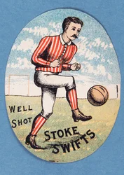 Väl skjuten Stoke Swifts