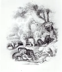 Vilda djur från "A History of the Earth and Animated Nature" av Oliver Goldsmith, London, 1840