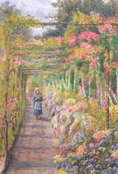 Ung flicka går under en rosenpergola (wc på papper)
