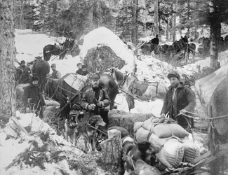 Guldletare som bestiger Porcupine Hill på Skagway Trail i Alaska under Klondikes guldrusch (1897-98), 1898