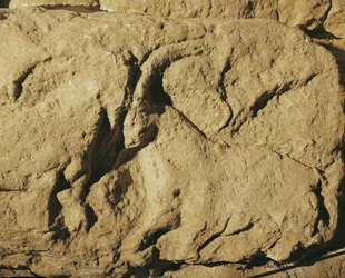 Stridande baggar (stenrelief)