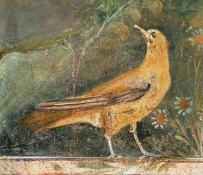 Fågel med två prästkragar (fresco)
