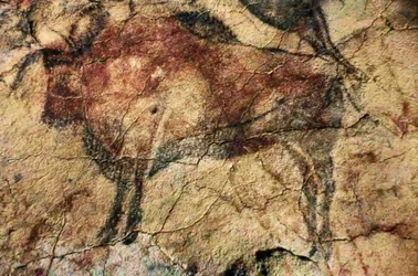Bison. Grottmålning från Altamira, Santander, Spanien (målning)
