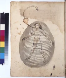 Hel sida: dykare, ca 1430 (kolorerad pennteckning)
