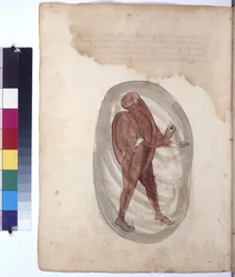 Hel sida: dykare i dykardräkt, ca 1430 (kolorerad pennteckning)