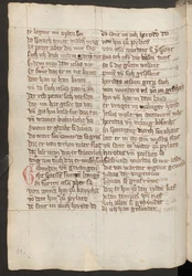 Hela sidan: text