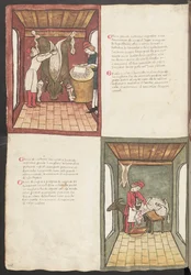 Hel sida: text och miniatyrer: " Carne grande nostrana ingrasata " (miniatyr)