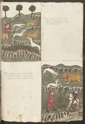 Helsida: text och miniatyrer: "Carne le lepore" - har- och rävjakt: "Carne de orso" - björnjakt (miniatyr)