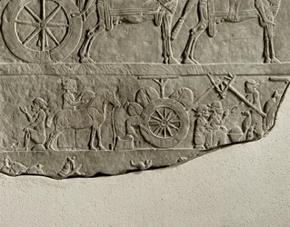 Kung Ashurbanipals fälttåg mot Elam ...