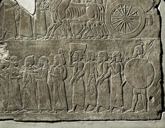 Kung Ashurbanipals fälttåg mot Elam ...