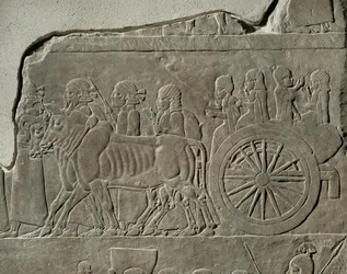 Kung Ashurbanipals kampanj mot Elam Deporterade från staden Din-Sharri leds i landsflykt ...