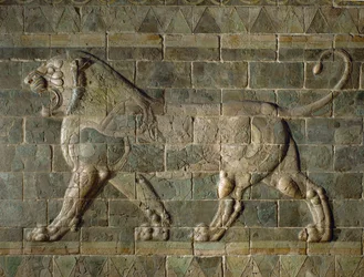 Lejon, färgat glaserat kakel, från palatset i Susa, Iran...