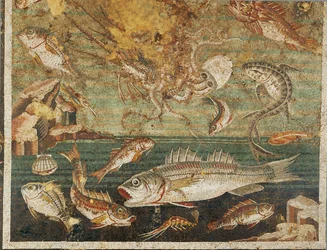 Marin fauna, fisk, Faunens hus, Pompeji