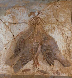 Tre hängande fåglar från Pompeji, Italien (väggmålning)
