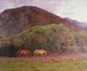 Sommarafton på Kviteseid, 1893