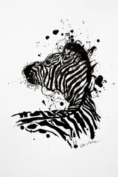 Vild zebra – bläckstänk