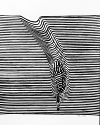 Zebra – en optisk illusion