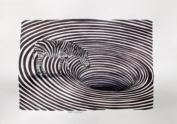 Zebra-virvelillusionen