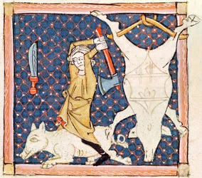 Fol.59v December: Dödande grisar (pergament)