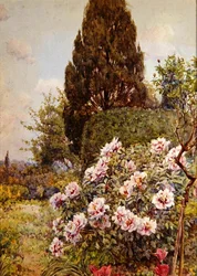 Peonies, Coddington, nära Ledbury (penna och akvarell på papper)
