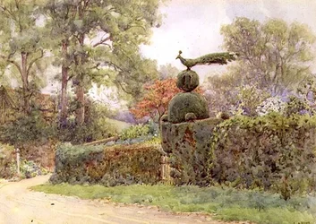 The Old Yew Hedge, Speldhurst, Kent (akvarell)