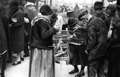 En grupp köpare av kanariefåglar, Paris, 1931.