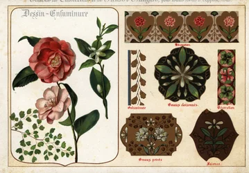 Bilder på kamelia och apelsinblommor från manuskript och deras