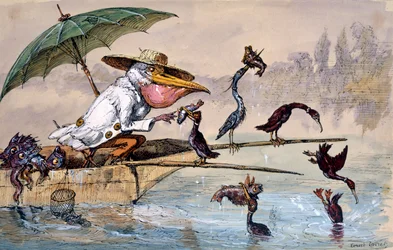 Skarvar som presenterar fisk för en pelikan i en stup under ett paraply, c1864-1907
