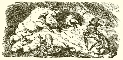 Örnen, katten och suggan