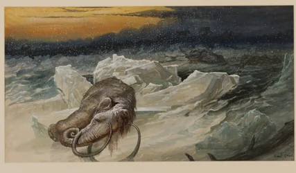 Ulllig mammut