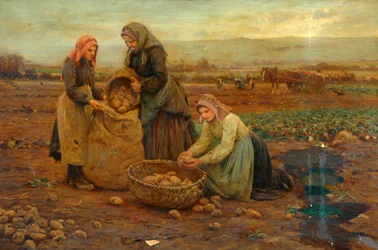 Potatisplockarna (olja på duk)
