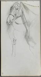 Skissbok, sidan 55: Study for a Horse.