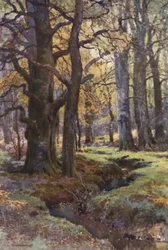 I gräsandsträ (färg litho)