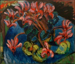 Cyclamen till jul