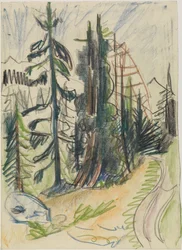 Bergsgranar och väg